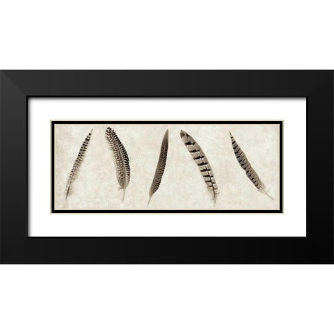 Feathers Panel - 1 Black Modern Wood Framed Art Print with Double Matting by Blaustein, Alan