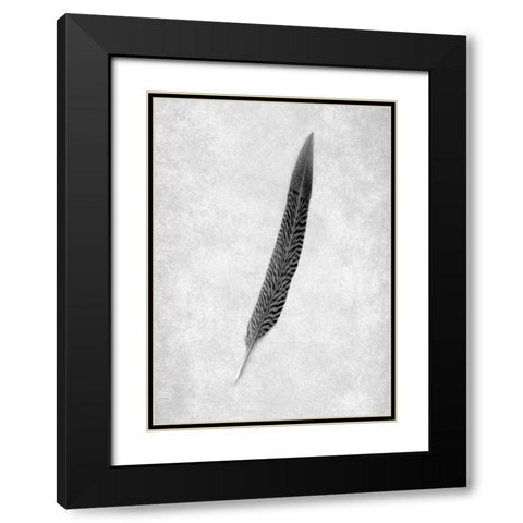 Feathers - 4 Black Modern Wood Framed Art Print with Double Matting by Blaustein, Alan