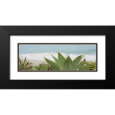 untitled Black Modern Wood Framed Art Print with Double Matting by Blaustein, Alan