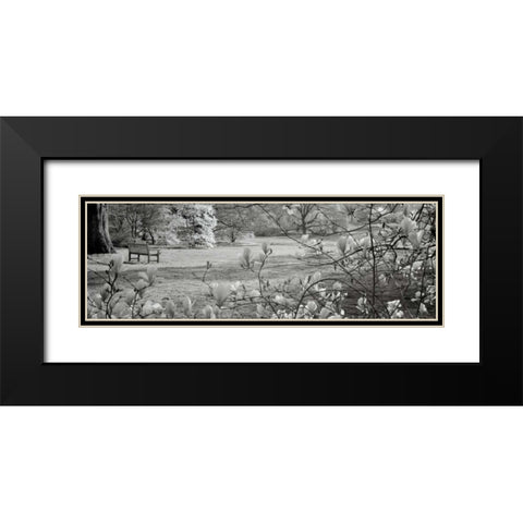 Hampton Magnolia - 1 Black Modern Wood Framed Art Print with Double Matting by Blaustein, Alan