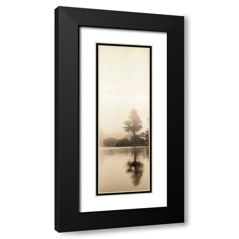 Lakeside Tree - 1 Black Modern Wood Framed Art Print with Double Matting by Blaustein, Alan