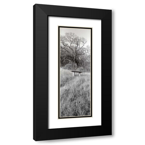 Novato Oak Black Modern Wood Framed Art Print with Double Matting by Blaustein, Alan