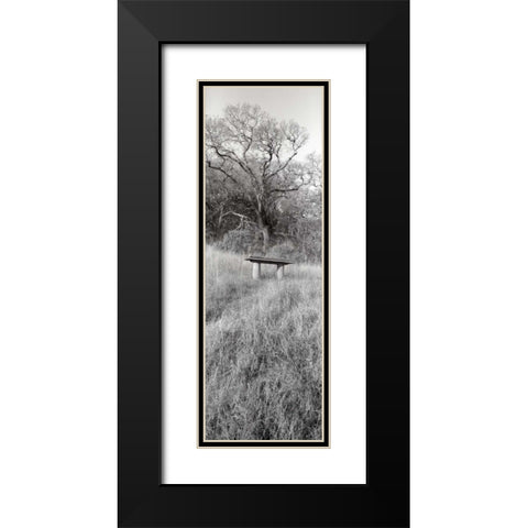 Novato Oak Black Modern Wood Framed Art Print with Double Matting by Blaustein, Alan