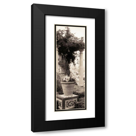 Jardin Botanico Black Modern Wood Framed Art Print with Double Matting by Blaustein, Alan
