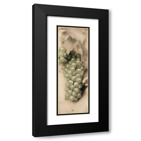 Pinot Blanc Black Modern Wood Framed Art Print with Double Matting by Blaustein, Alan