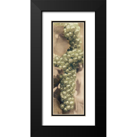Chardonnay Black Modern Wood Framed Art Print with Double Matting by Blaustein, Alan