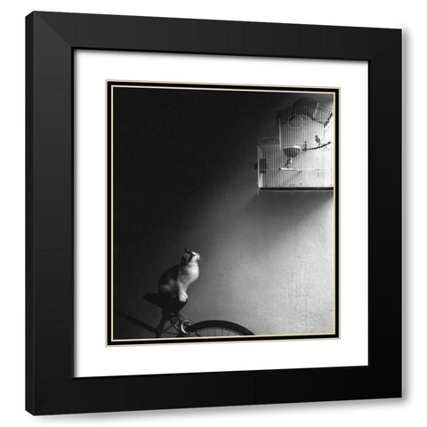 Patience Black Modern Wood Framed Art Print with Double Matting by Bertelli, Jon