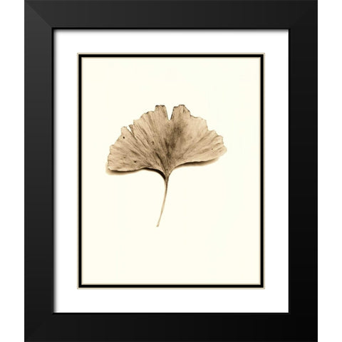 Ginkgo Leaf Black Modern Wood Framed Art Print with Double Matting by Blaustein, Alan
