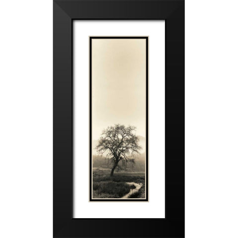 Valley Oak Tree Black Modern Wood Framed Art Print with Double Matting by Blaustein, Alan