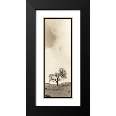 Vintage Oak Tree Black Modern Wood Framed Art Print with Double Matting by Blaustein, Alan