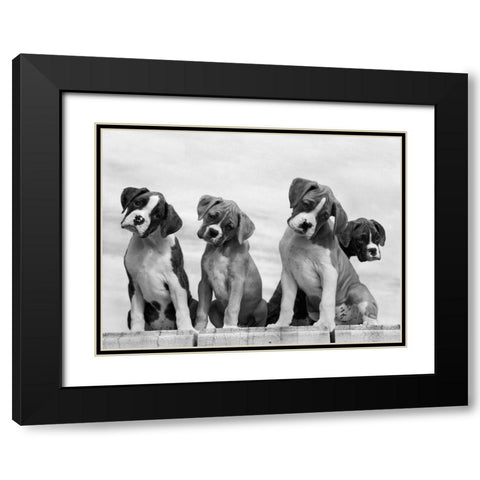 Wonder Black Modern Wood Framed Art Print with Double Matting by Beals, Sharon