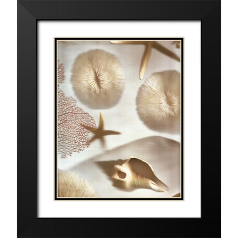 Nautical Illuminations No.1 Black Modern Wood Framed Art Print with Double Matting by Blaustein, Alan