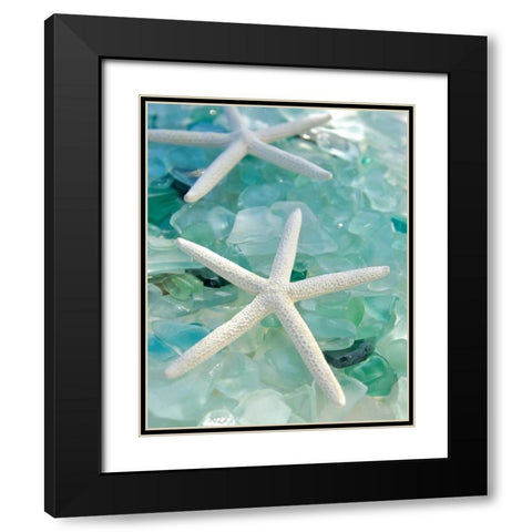 Seaglass 1 Black Modern Wood Framed Art Print with Double Matting by Blaustein, Alan