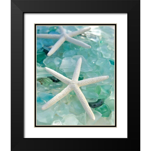 Seaglass 1 Black Modern Wood Framed Art Print with Double Matting by Blaustein, Alan