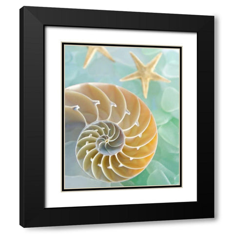Seaglass 2 Black Modern Wood Framed Art Print with Double Matting by Blaustein, Alan