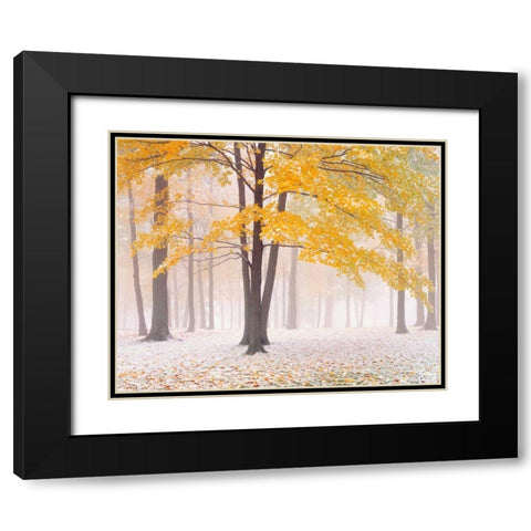 Early Autumn Snow Black Modern Wood Framed Art Print with Double Matting by Becia, Jim