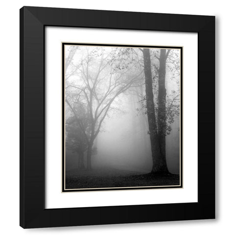 November Fog Black Modern Wood Framed Art Print with Double Matting by Bell, Nicholas