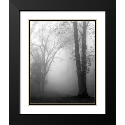 November Fog Black Modern Wood Framed Art Print with Double Matting by Bell, Nicholas
