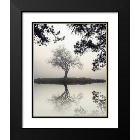 Winter Willow Black Modern Wood Framed Art Print with Double Matting by Bell, Nicholas