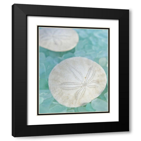 Seaglass 3 Black Modern Wood Framed Art Print with Double Matting by Blaustein, Alan