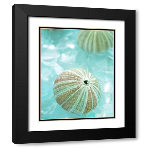 Seaglass 4 Black Modern Wood Framed Art Print with Double Matting by Blaustein, Alan