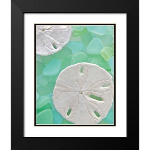 Seaglass 5 Black Modern Wood Framed Art Print with Double Matting by Blaustein, Alan