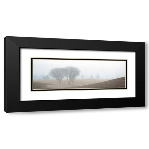 Coastal Trail Black Modern Wood Framed Art Print with Double Matting by Blaustein, Alan