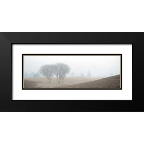 Coastal Trail Black Modern Wood Framed Art Print with Double Matting by Blaustein, Alan