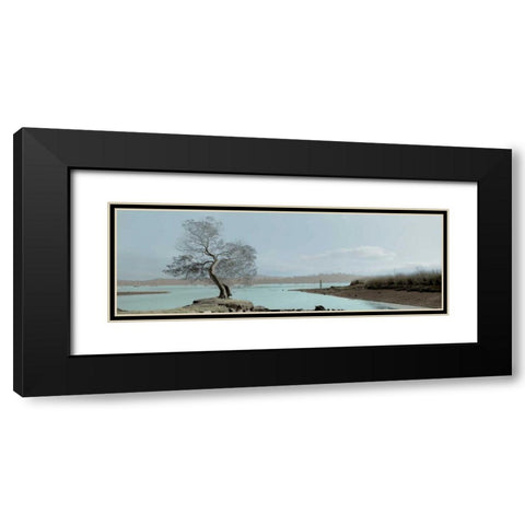 Lagoon Oak Tree Black Modern Wood Framed Art Print with Double Matting by Blaustein, Alan