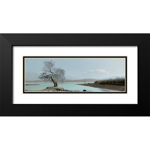 Lagoon Oak Tree Black Modern Wood Framed Art Print with Double Matting by Blaustein, Alan