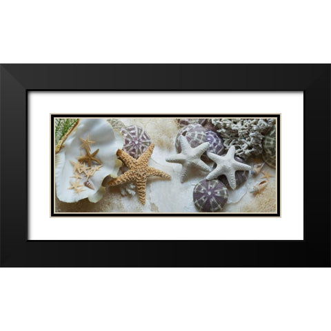 Island Tide Pool No. 4 Black Modern Wood Framed Art Print with Double Matting by Blaustein, Alan