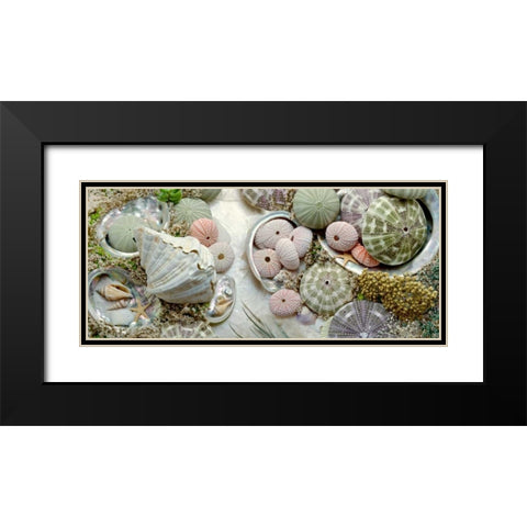 Island Tide Pool No. 7 Black Modern Wood Framed Art Print with Double Matting by Blaustein, Alan
