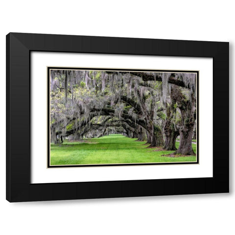 Hanging to the Left Black Modern Wood Framed Art Print with Double Matting by Burt, Daniel