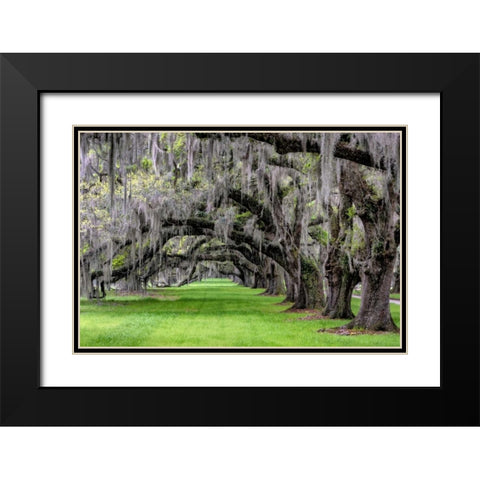 Hanging to the Left Black Modern Wood Framed Art Print with Double Matting by Burt, Daniel