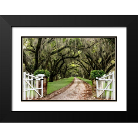Plantation Road Black Modern Wood Framed Art Print with Double Matting by Burt, Daniel