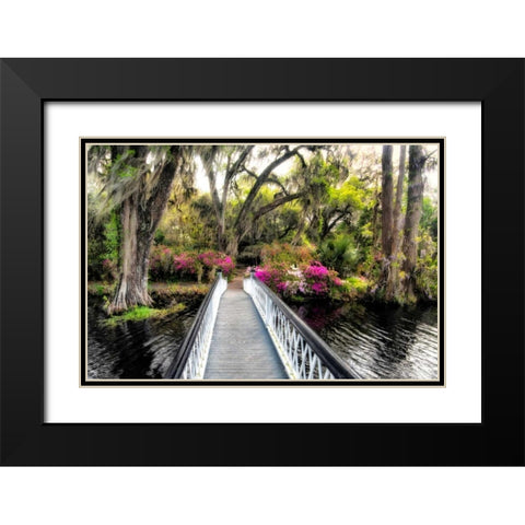 The Garden Bridge Black Modern Wood Framed Art Print with Double Matting by Burt, Daniel