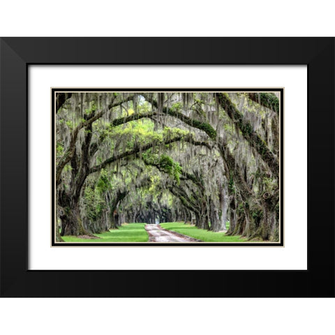 The Old South Black Modern Wood Framed Art Print with Double Matting by Burt, Daniel