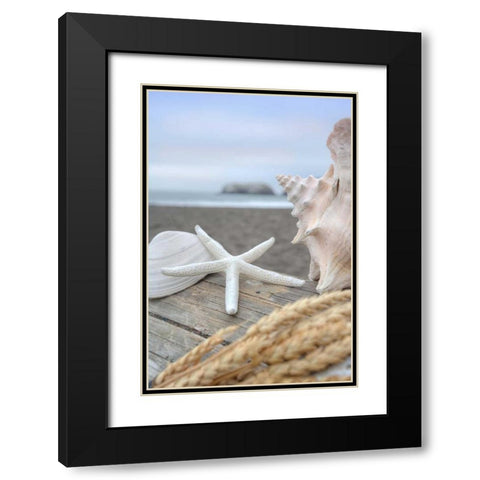 Crescent Beach Shells 12 Black Modern Wood Framed Art Print with Double Matting by Blaustein, Alan