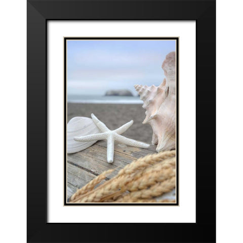 Crescent Beach Shells 12 Black Modern Wood Framed Art Print with Double Matting by Blaustein, Alan
