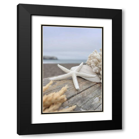 Crescent Beach Shells 13 Black Modern Wood Framed Art Print with Double Matting by Blaustein, Alan