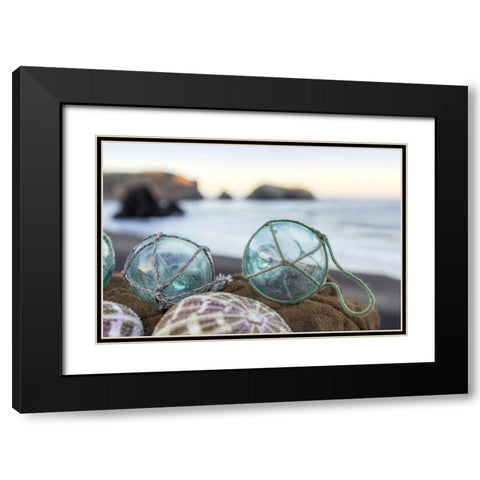 Crescent Beach Shells 16 Black Modern Wood Framed Art Print with Double Matting by Blaustein, Alan