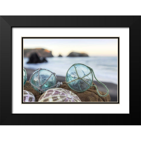 Crescent Beach Shells 16 Black Modern Wood Framed Art Print with Double Matting by Blaustein, Alan