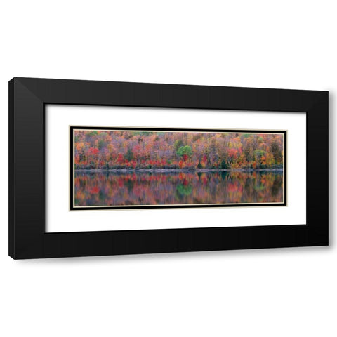 Upson Lake Reflection Black Modern Wood Framed Art Print with Double Matting by Becia, Jim