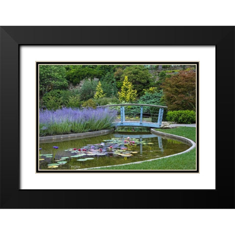 Serenity Black Modern Wood Framed Art Print with Double Matting by Burdick, Chuck