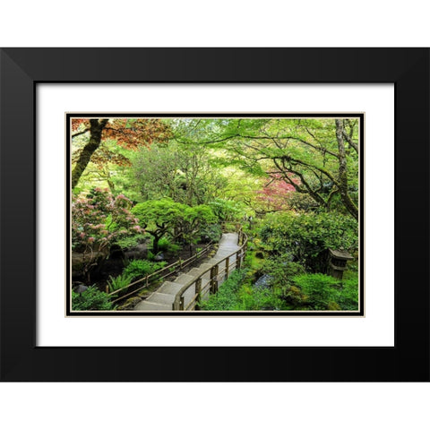 Stairway to Paradise Black Modern Wood Framed Art Print with Double Matting by Burdick, Chuck