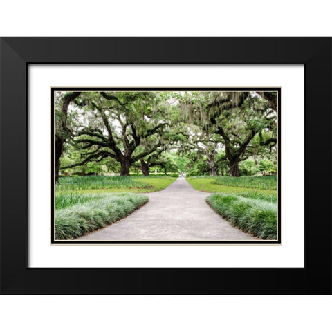 Garden Entrance Black Modern Wood Framed Art Print with Double Matting by Burdick, Chuck