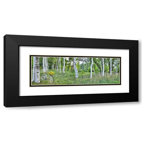 Sunflower Bike Ride No.4 Black Modern Wood Framed Art Print with Double Matting by Blaustein, Alan