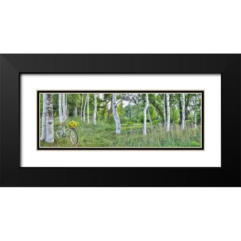 Sunflower Bike Ride No.4 Black Modern Wood Framed Art Print with Double Matting by Blaustein, Alan