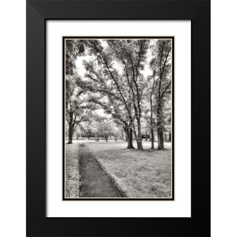 Garden Pathway No.1 Black Modern Wood Framed Art Print with Double Matting by Blaustein, Alan