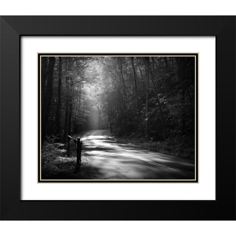 Tremont Road, Smoky Mountains Black Modern Wood Framed Art Print with Double Matting by Bell, Nicholas